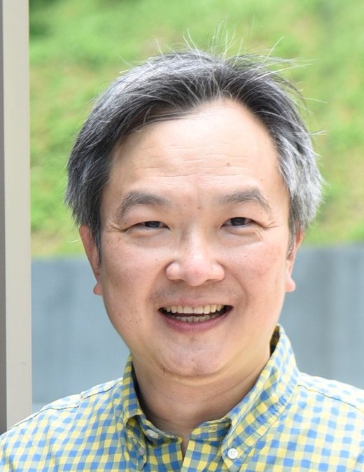 Professor Wong Lim Soon